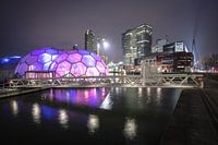 Manhattan aan de Maas