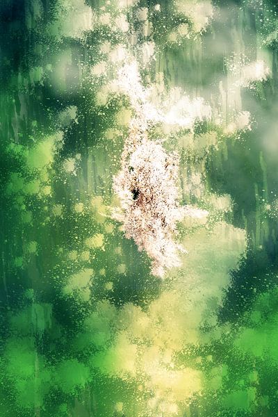 Plume de roseau (art abstrait) par Art by Jeronimo