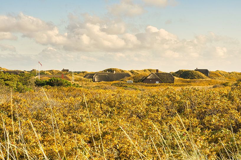 Blåvand dunes paysage au Danemark sur la mer du Nord par Martin Köbsch