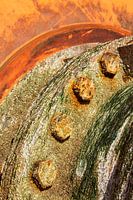 Rouille, bernacles et algues