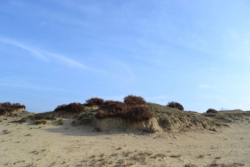 Ballonfahrfeld am frühen Morgen. von Bernard van Zwol