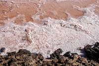 Cristaux de sel sur la côte