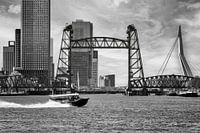 Un bateau-taxi passe 3 ponts de Rotterdam