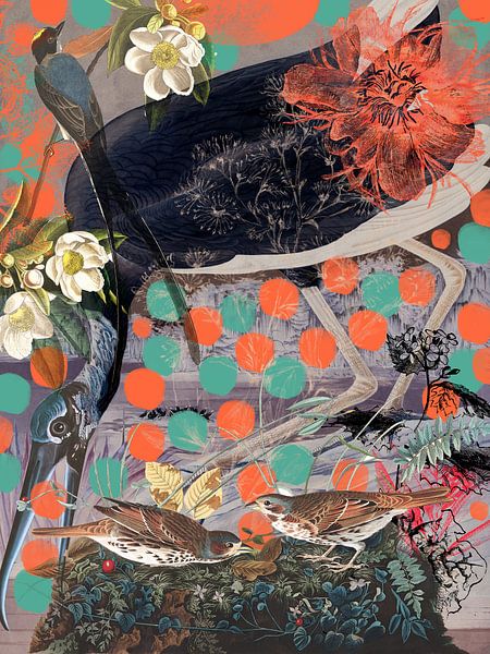 Ibis-Collage von Jadzia Klimkiewicz