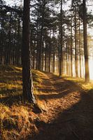 National Park South-Kennemerland 001