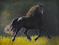 Friesian horse