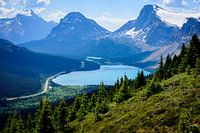 Le lac Bow vu des hauteurs - Vue du sentier du lac Peyto