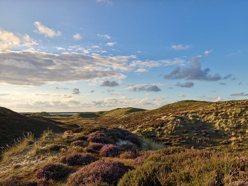 Sylt, Blick durch die Lister Dünen zum Königshafen von Ralph Rainer Steffens