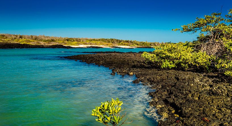 Galapagos by René Holtslag