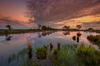 Landschaft von Drenthe