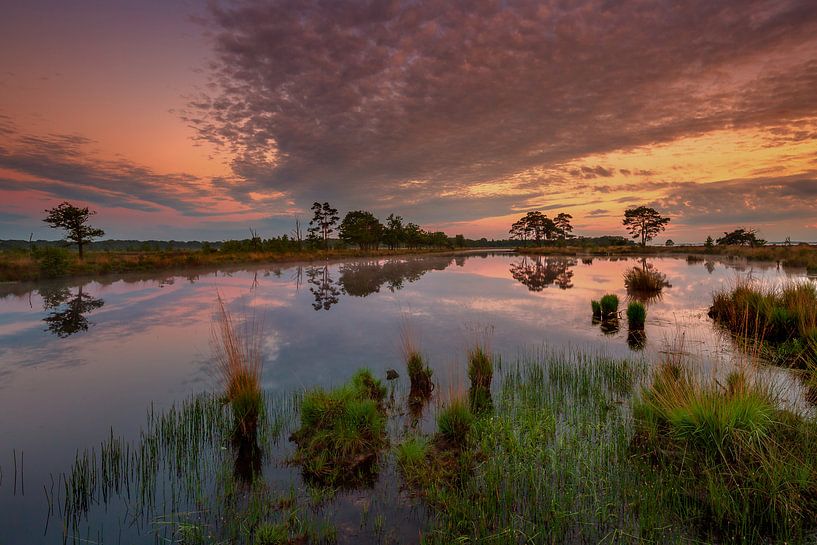 Le paysage de la Drenthe par Andy Luberti