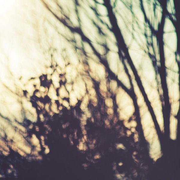 Melancholia by Insolitus Fotografie