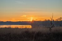 De Flaes op Landgoed De Utrecht