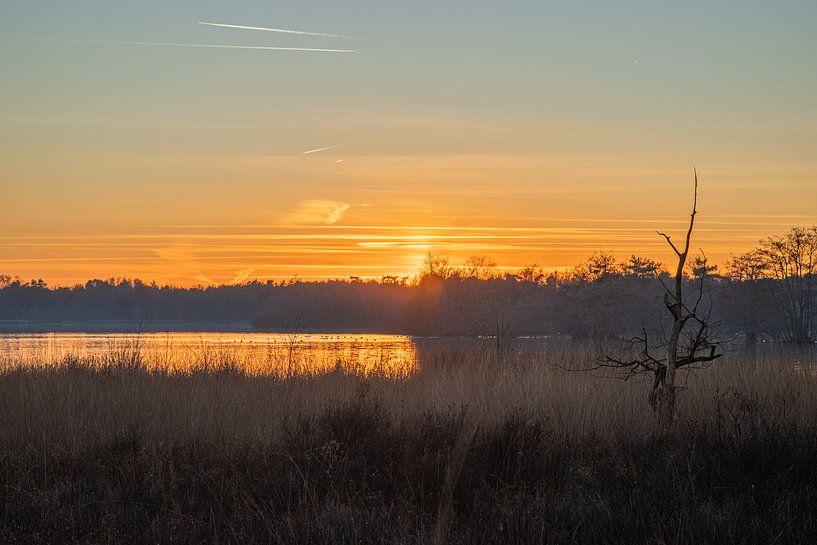The Flaes on the estate De Utrecht by Jacky Keeris