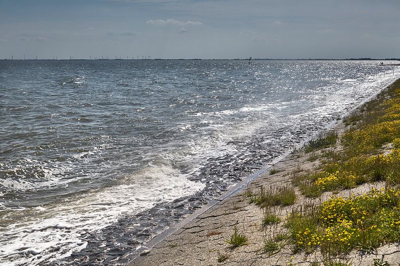 Vagues à la digue anti-mouches de Wilhelmshaven par Rolf Pötsch