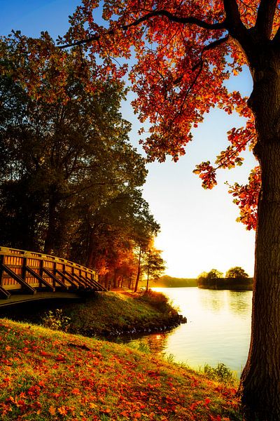 Die Ems bei Lathen von Günter Albers