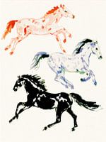 Bunte Pferde in Bewegung