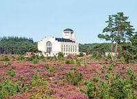 Radio Kootwijk in the heath - Veluwe