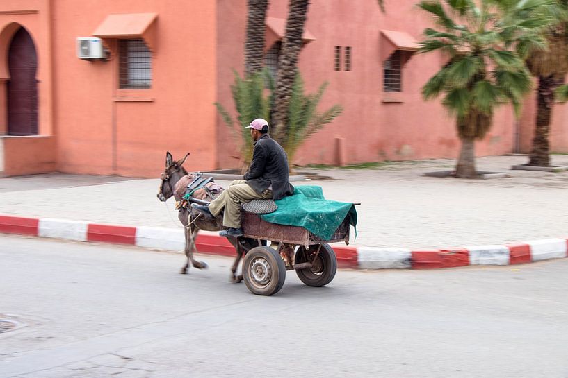 Daily work von Dick Hooijschuur