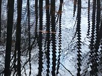 Rimpeling in het water