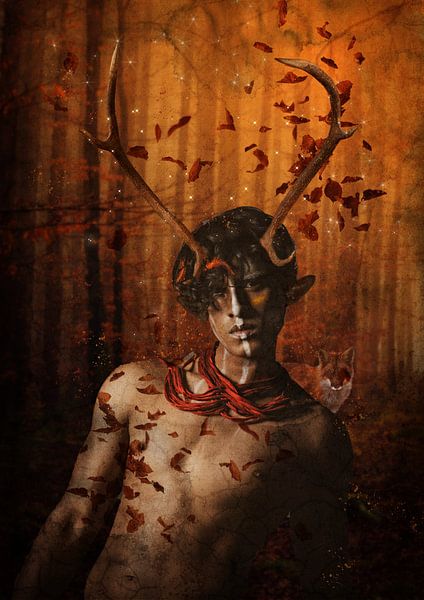 Im tiefen Wald von Lucia