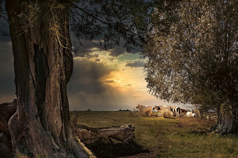 Ein warmer Sommernachmittag von Gerard Wielenga