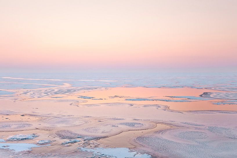 Winter cold sun von Claire Droppert