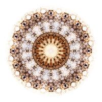 Compositie Wildebeest 2