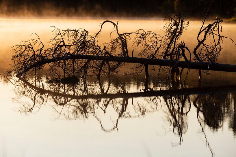 Mystical sunrise by Willemke de Bruin