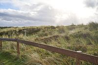 Die Dünen in der Sonne