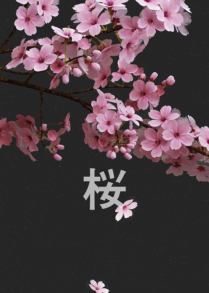 Sakura Whisper by P U F F Y