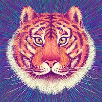 Tiergesicht Tiger