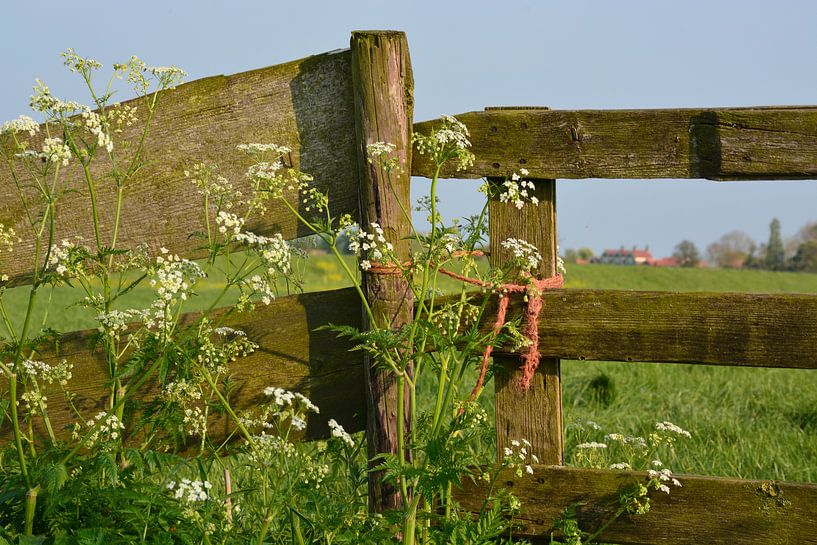 Farmer's fence by Maurice Kruk