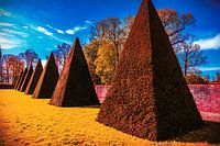 Seven pointed pyramids in sunny coloured garden