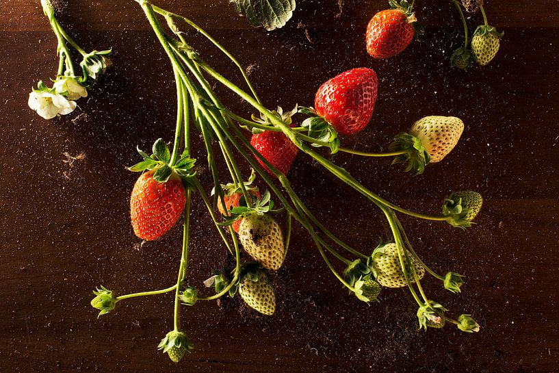 Aardbeien von Igor Sens