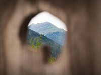 Une image des Alpes pleine d'ambiance pour la maison