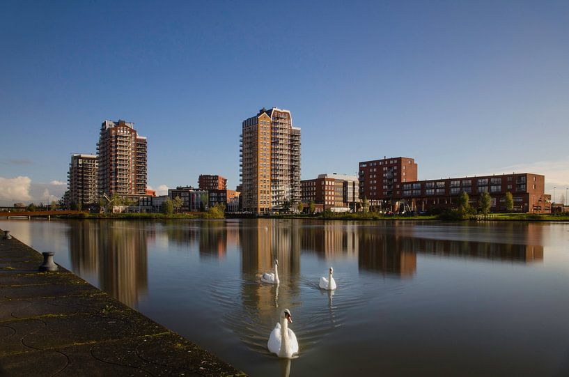 Zoetermeer Oosterheem Skyline et Swan par RB-Photographie