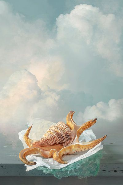 Stilleben &quot;Zwischen Himmel und Erde VII von Willy Sengers