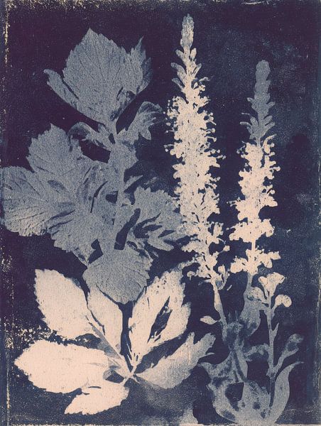 Impression botanique bleue - étude poétique de la nature dans l'ombre et la lumière par But First Framing