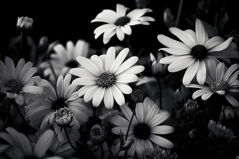 Monochrome Flowers by NJ Midnight Studio