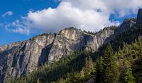 Eine atemberaubende Aussicht vom El Capitan im Yosemite-Nationalpark