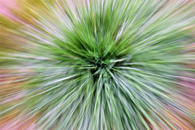 Fel gekleurde dynamsich zoom burst close up van Maud De Vries