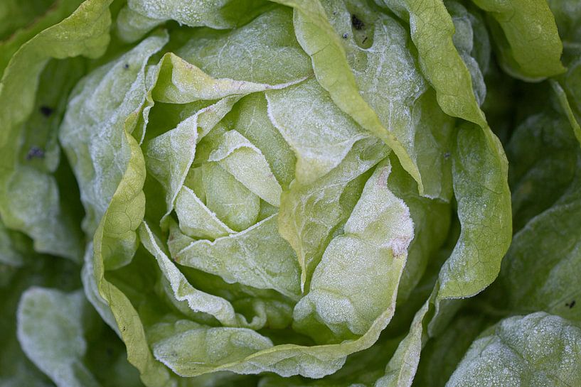 sla met een winters tintje van LIA van der wende