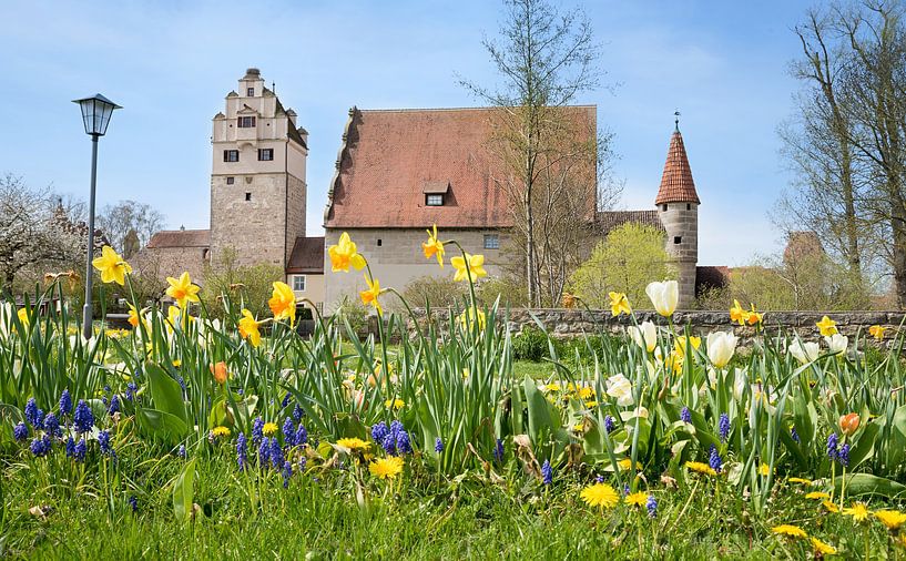 Château de Dinkelsbühl, parc de printemps par SusaZoom