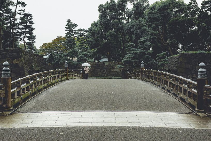 Walker with umbrella during a shower in Tokyo by Mickéle Godderis
