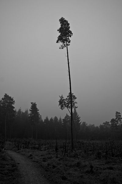 aufrecht stehend von IdzardCreations