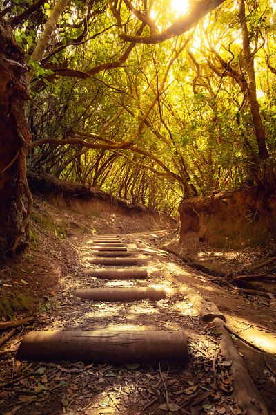 Wanderweg im Anaga Gebirge Teneriffa von Steffen Henze