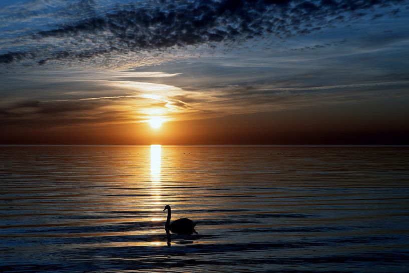 Swan Lake by Geertjan Kuper