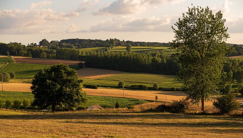 Landschaft zum berühmten Paterberg von Nicola Mathu