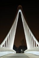 Fietsbrug Zoetermeer 2